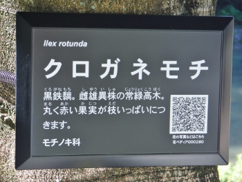 やすらぎの森樹名札イメージ1