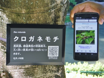 やすらぎの森樹名札イメージ2
