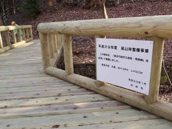 柳橋写真(2)