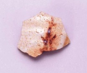 昭和５年、荒川氏が大萱で発見した筍絵陶片の画像
