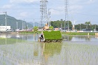 田植え機械で田植えを行う様子の画像