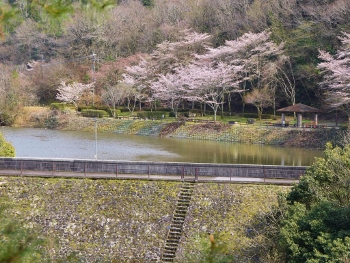 小渕ダムと小渕ため池公園画像1