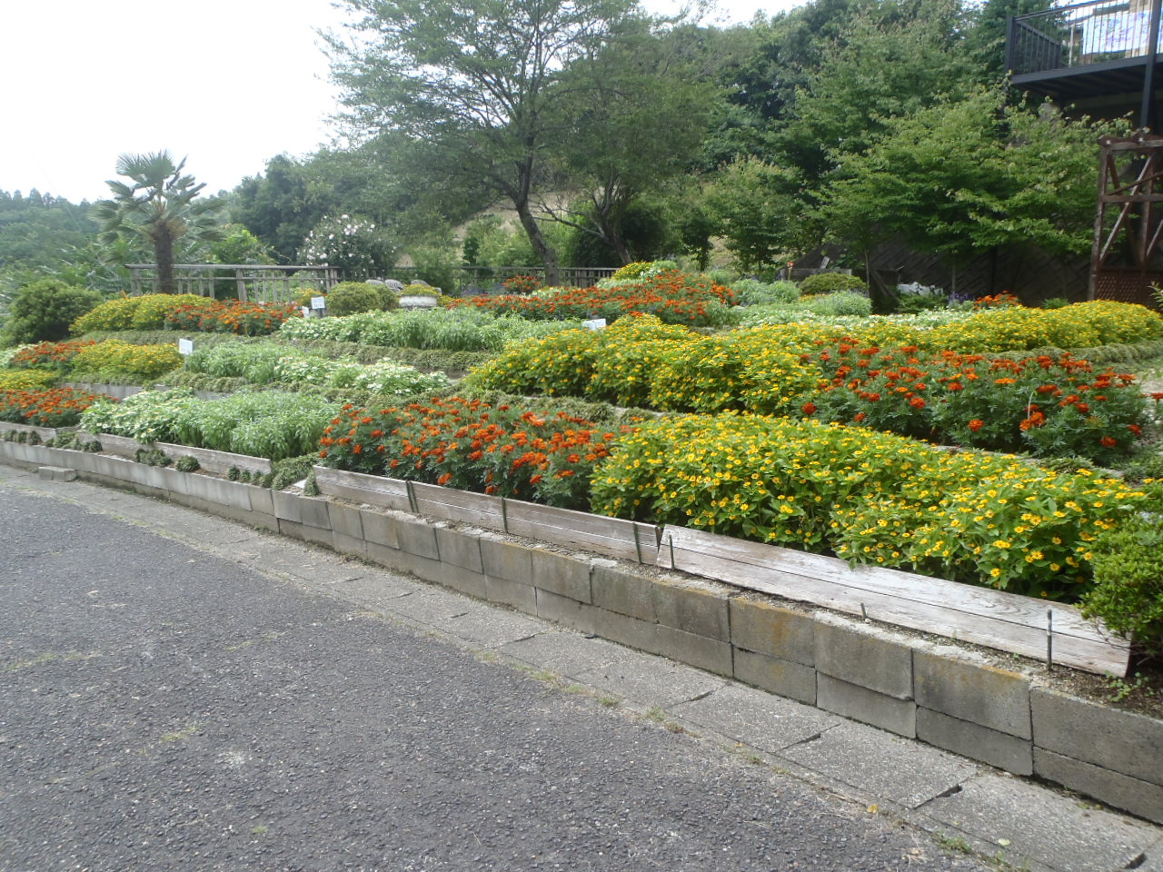 羽生ヶ丘自治会の花壇の画像
