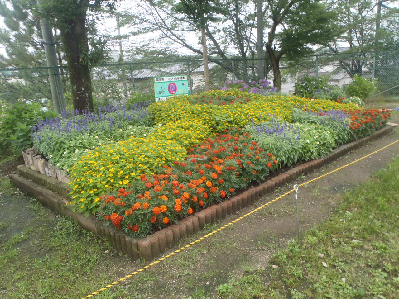 清水ヶ丘自治会の花壇の画像