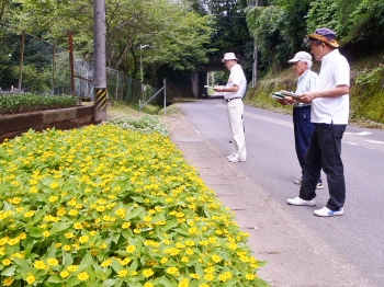 花いっぱい運動（花壇コンクール審査会）