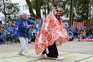 獅子舞が踊る様子