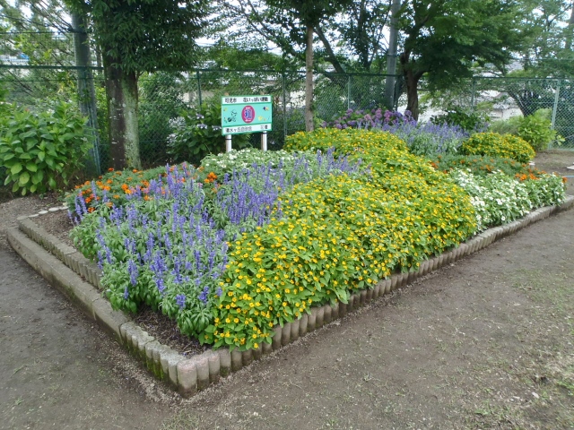 清水ケ丘自治会花壇