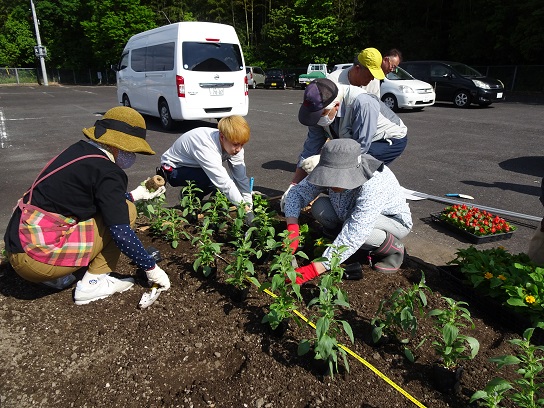 R6花の育て方講座(花壇での植え付け)