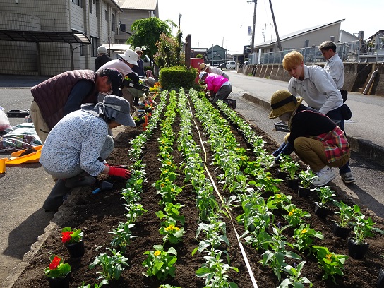 R6花の育て方講座(植え付けの様子)