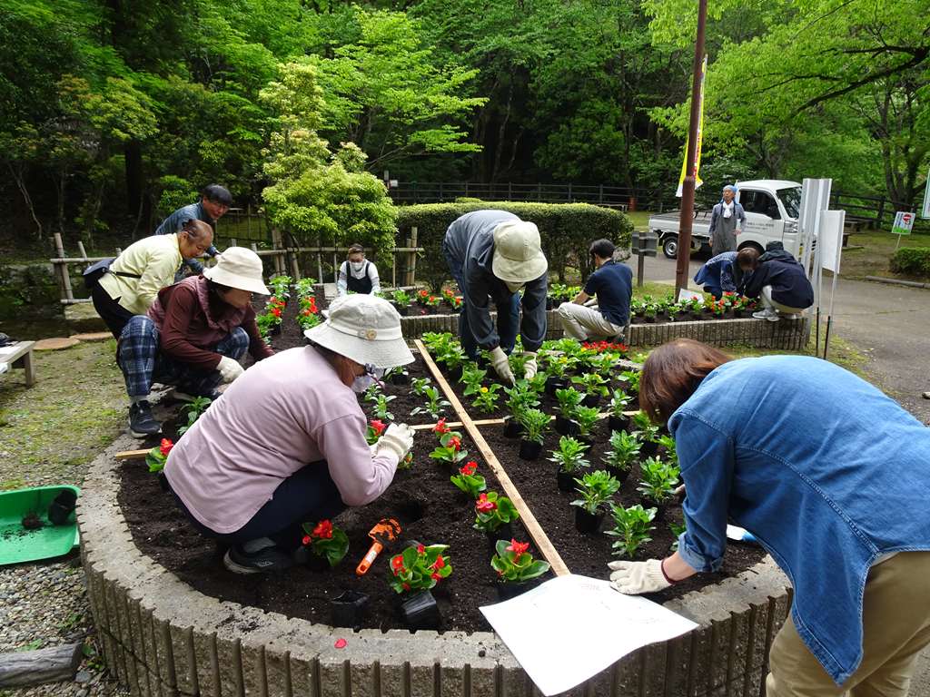 花苗を植える様子