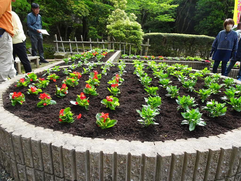 完成した花壇の様子