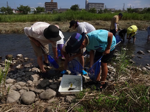 水生生物調査3