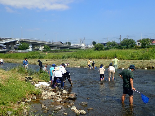 水生生物調査1