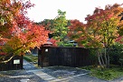 花フェスタ記念公園内茶室の様子