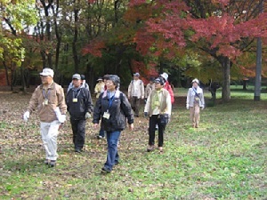 紅葉の中をウオーキング