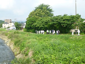 川沿いを歩く様子