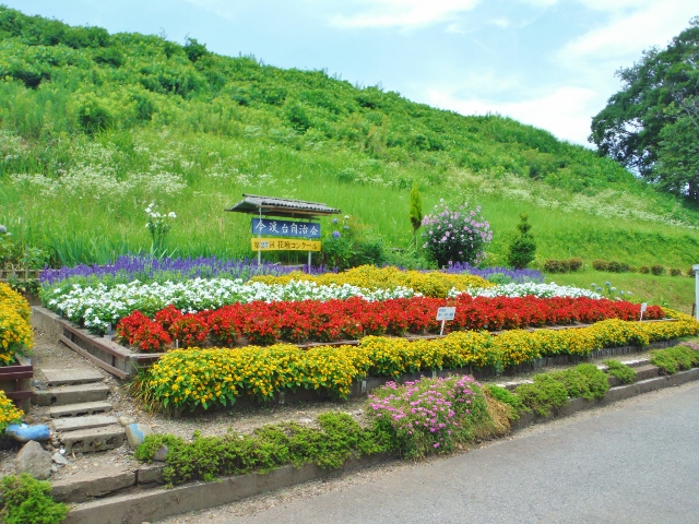 優秀賞の今渡台自治会花壇写真