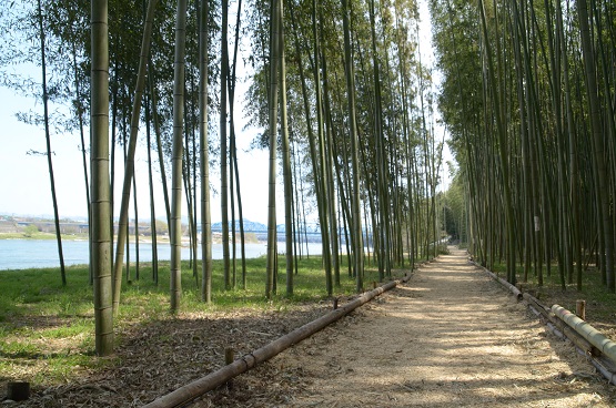 木曽川左岸遊歩道