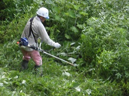 城趾の草刈り整備の写真