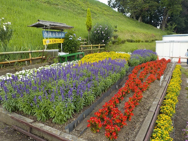 今渡台自治会の花壇