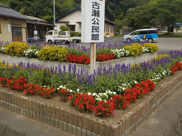 古瀬自治会の花壇