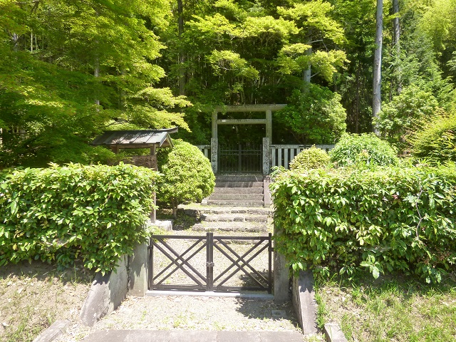 八坂入彦の墓の写真