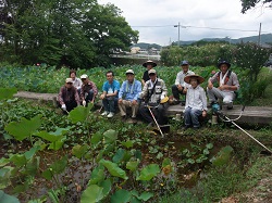 緑にする会