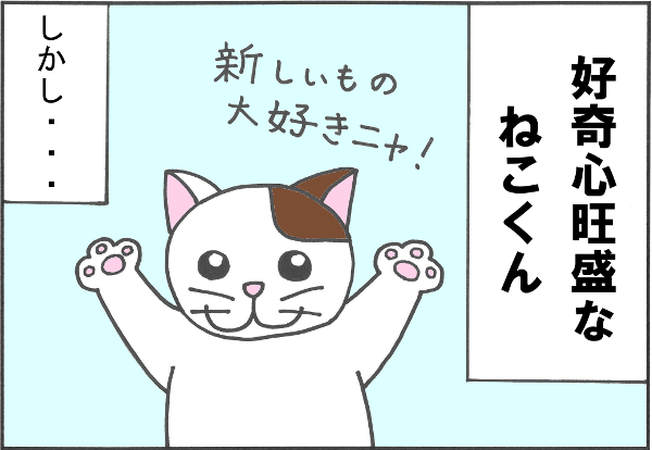 けっサイ１