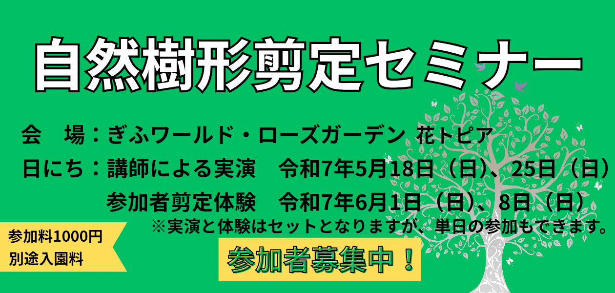 自然樹形剪定セミナー