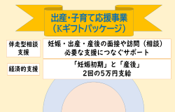出産・子育て応援事業（Ｋギフトパッケージ）