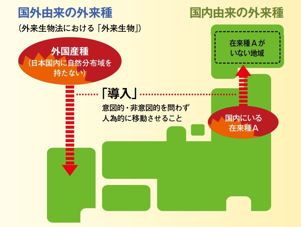 外来種と外来生物の考え方