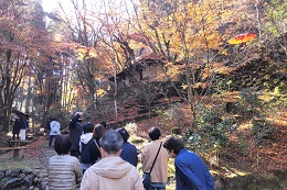 荒川豊蔵資料館で秋の特別公開