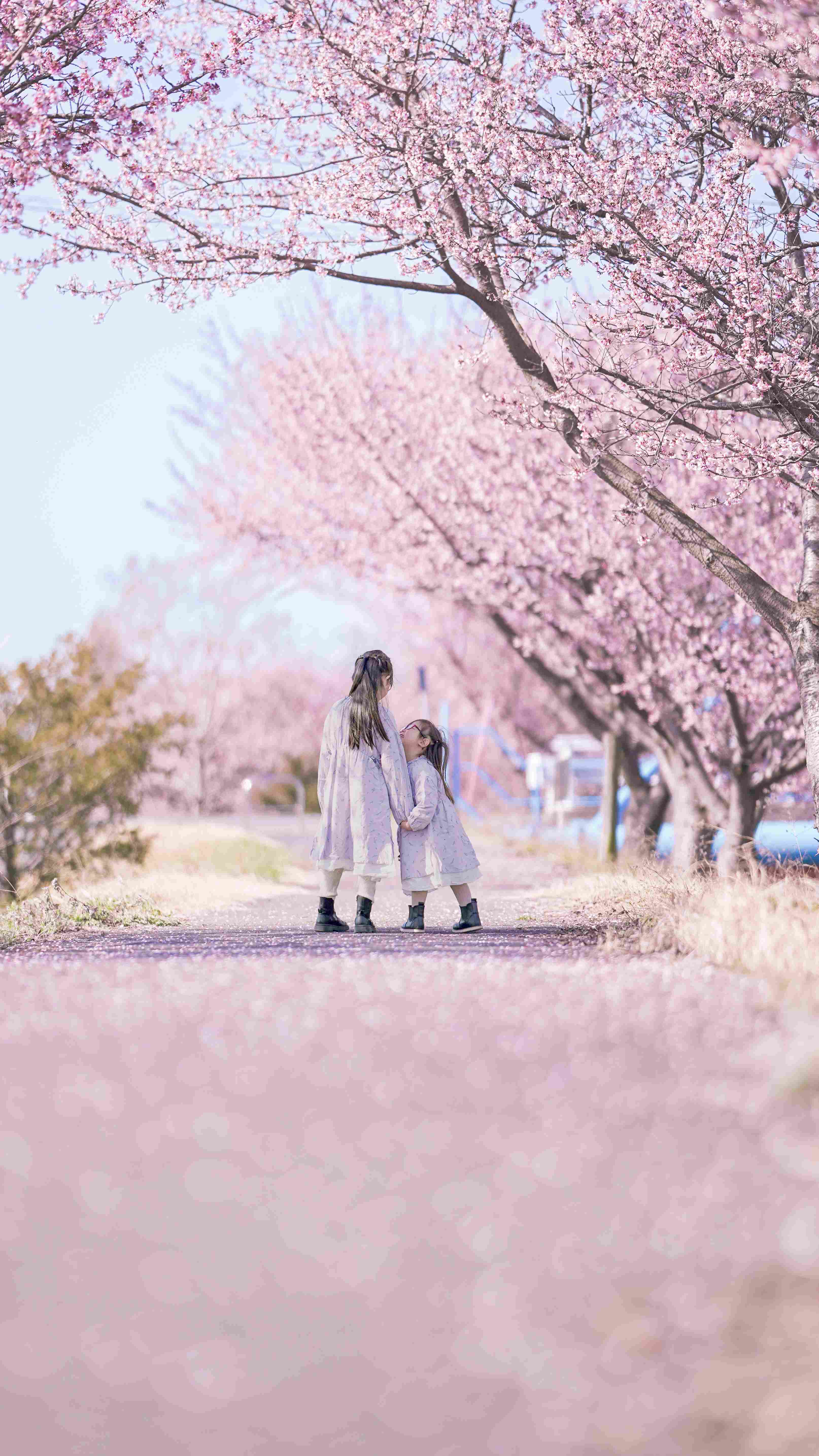 ふるさと川公園