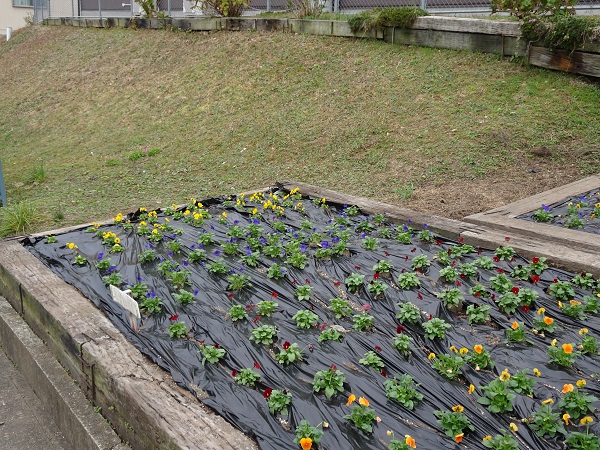 令和7年秋・写真2