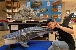 図書館が水族館に