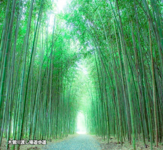 木曽川渡し場遊歩道