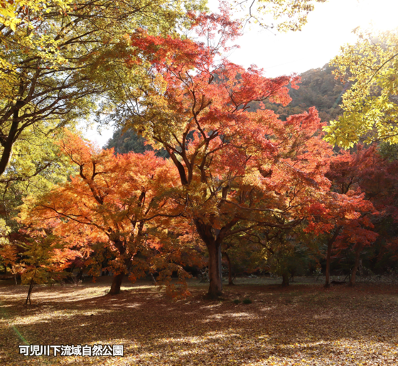 可児川下流域自然公園