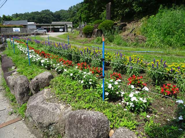 北部