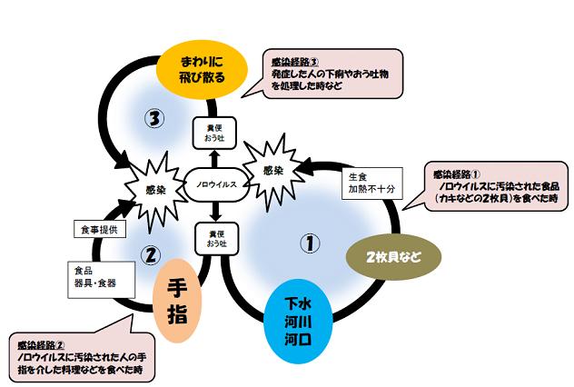 感染経路