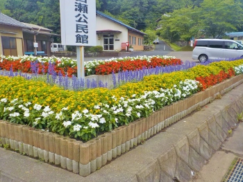 市長賞の古瀬自治会花壇画像