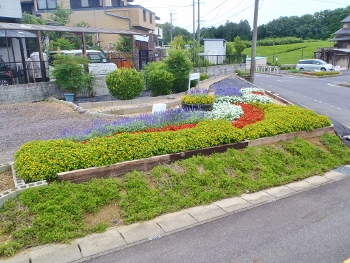 特別賞の坂戸台自治会花壇画像