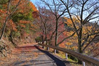 蘭丸ふる里の森