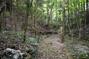  ４００年のパワーを感じる牟田洞窯跡地の画像