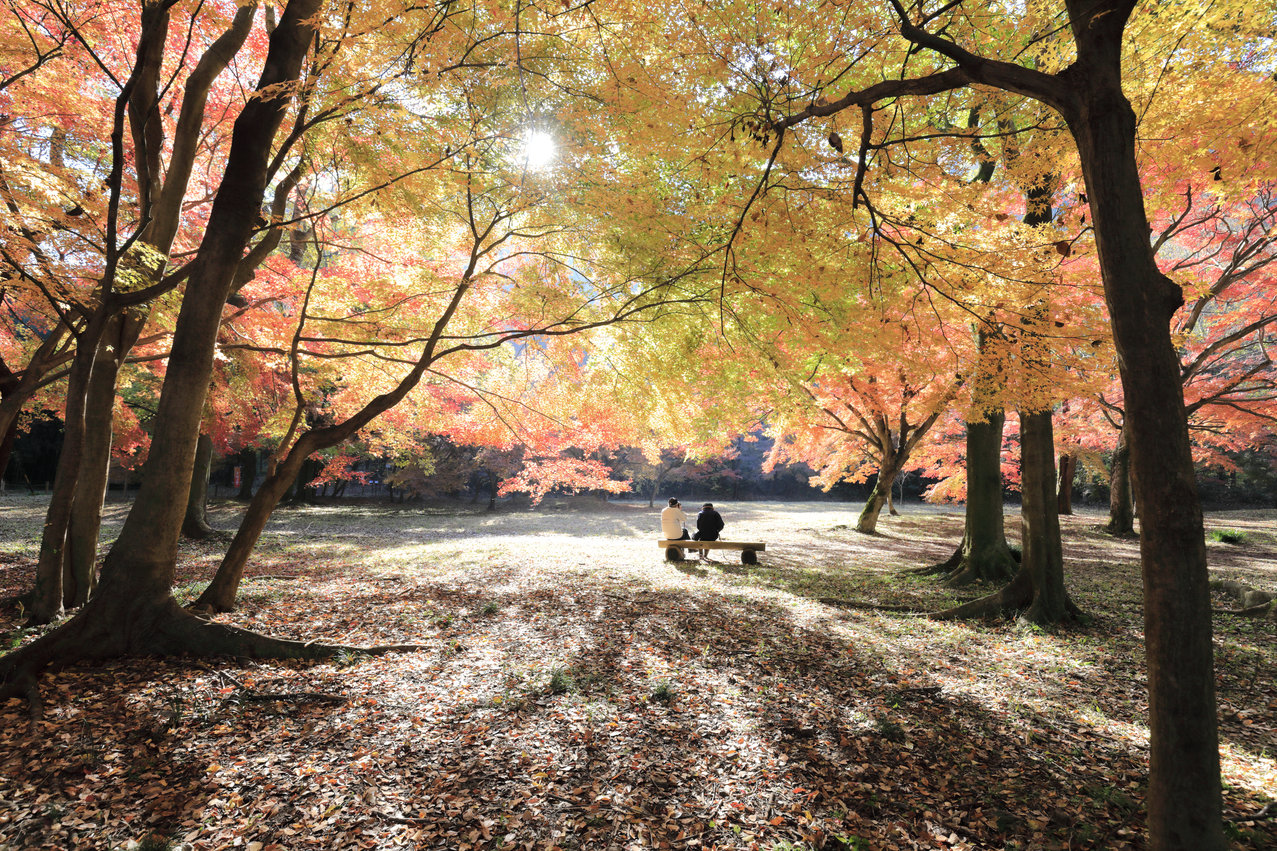 可児川下流域自然公園