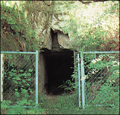 羽崎中洞横穴墓イメージ
