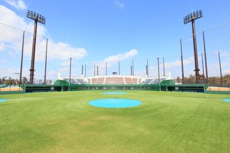 外野からの風景