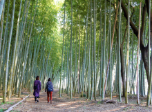 癒しの空間「木曽川」応援写真