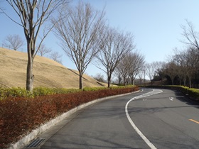 緑の丘園路