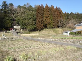 津島神社