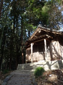 津島神社3